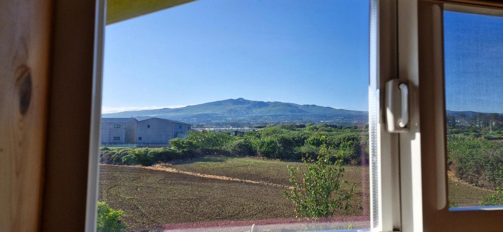 Tree House Guesthouse Τζέτζου Εξωτερικό φωτογραφία
