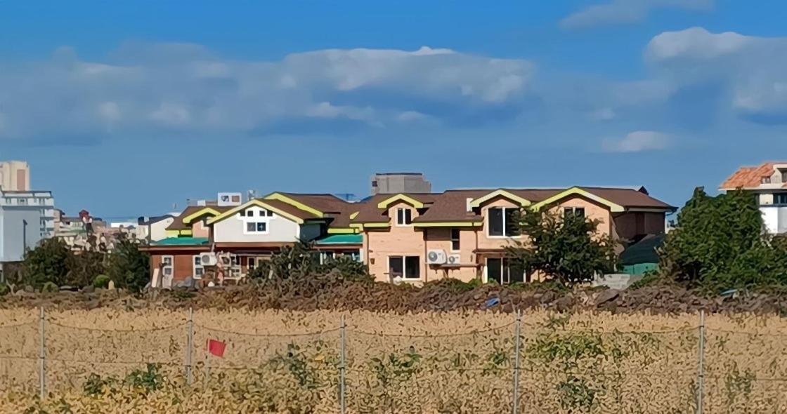 Tree House Guesthouse Τζέτζου Εξωτερικό φωτογραφία